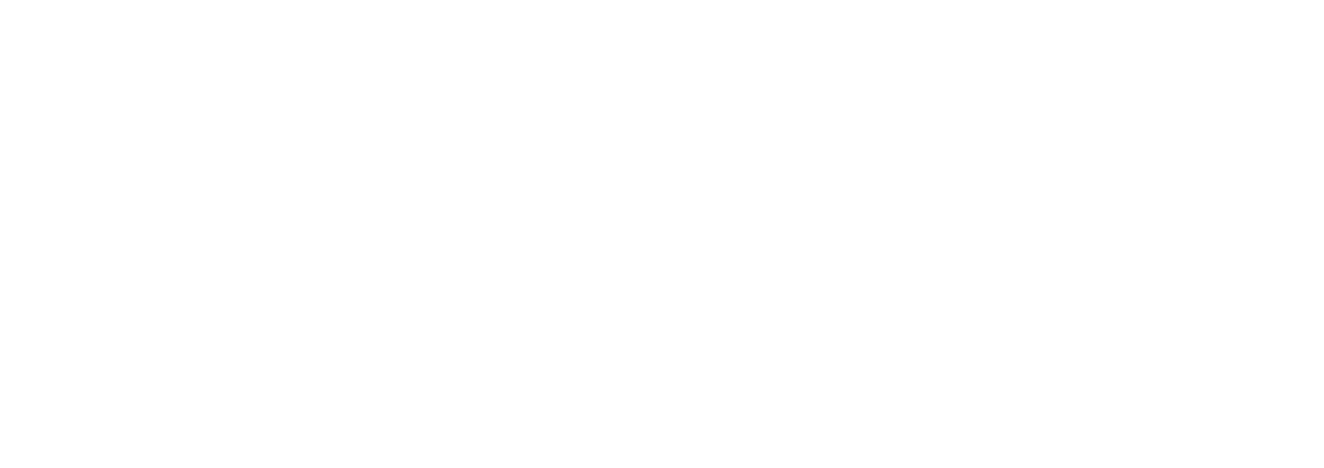 SHINYPRO